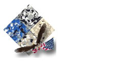 EagleFlooringLogoWithEagle124